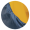 Midnight Navy / Golden Yellow