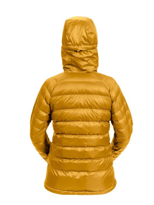 Patizon Atmo 100 Lady