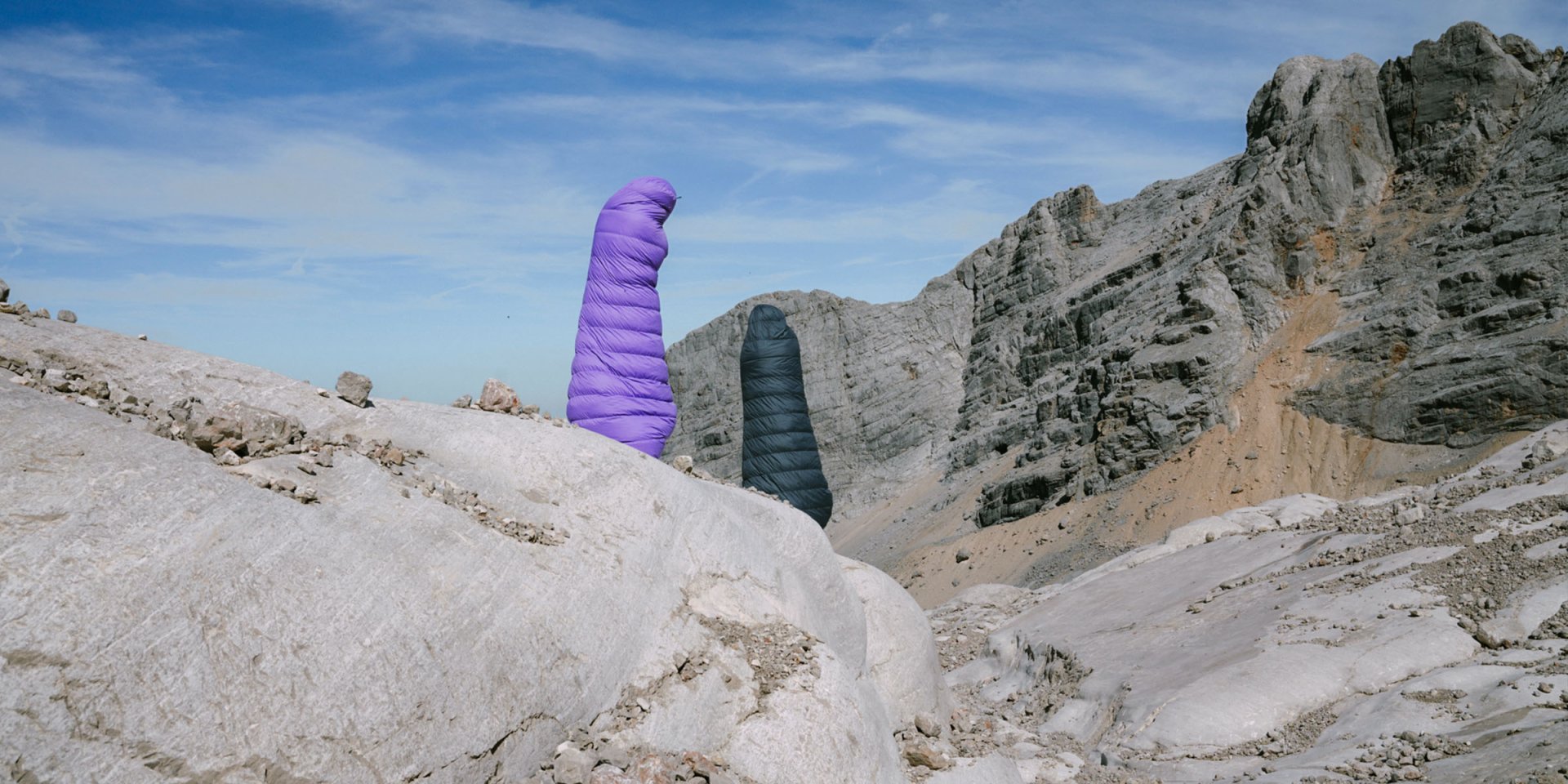 Purple Corallites