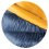 Midnight Navy / Golden Yellow
